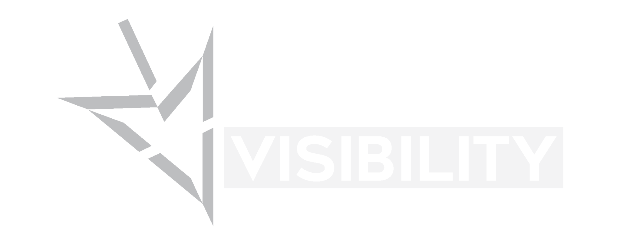 Major Visibility — Web Design & Digital Marketing